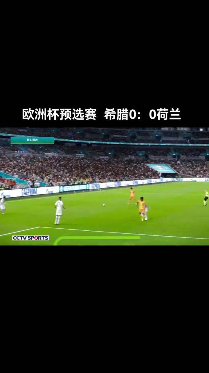 塞尔维亚先拔头筹，赢得欧洲杯预选赛胜利关键的简单介绍