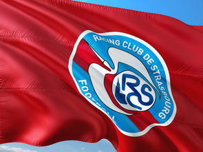 杏彩体育-帕尔梅拉斯连续不败，争冠形势一片大好