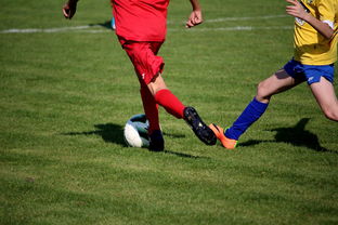 杏彩体育平台-皇马首战小组赛惨败！梅西梅开二度，巴黎圣日耳曼豪取3分震撼欧冠舞台