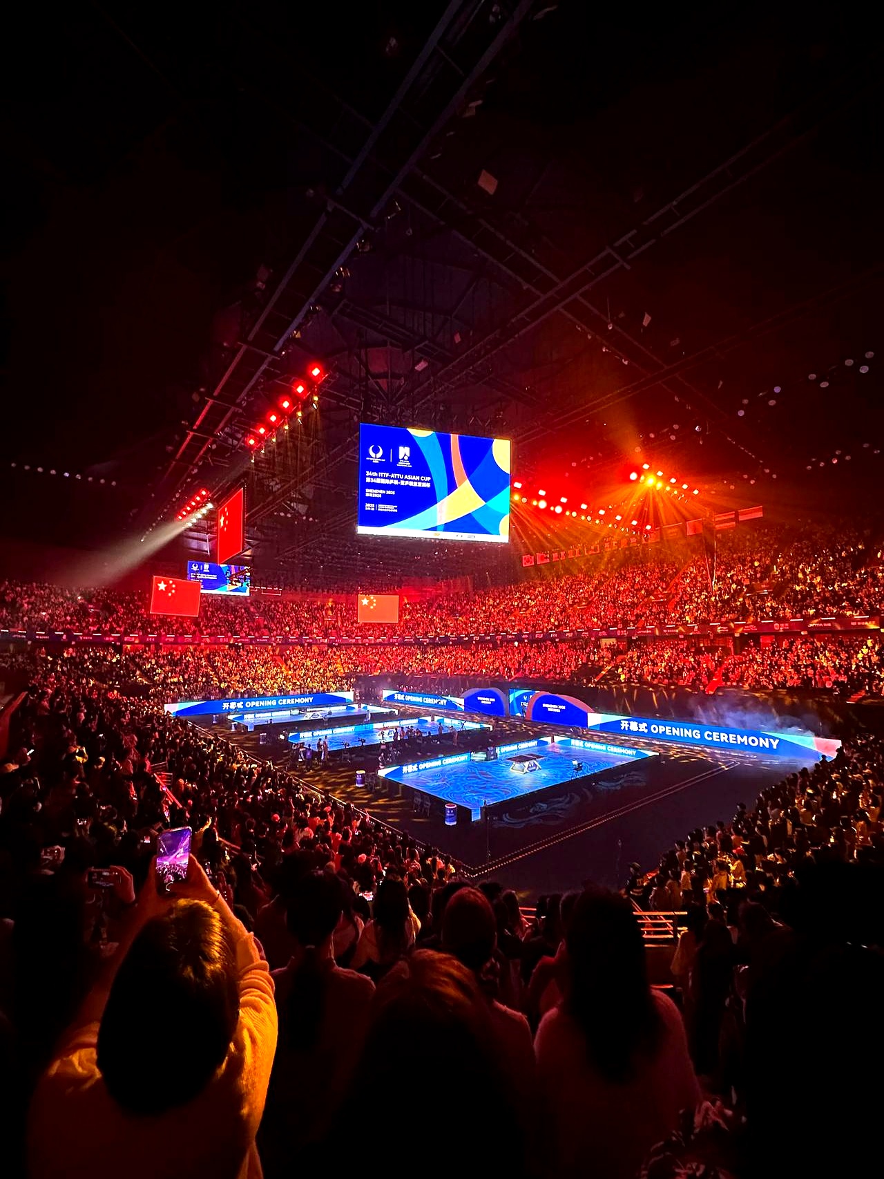 精彩赛事的高潮时刻，胜者成为注目焦点的简单介绍