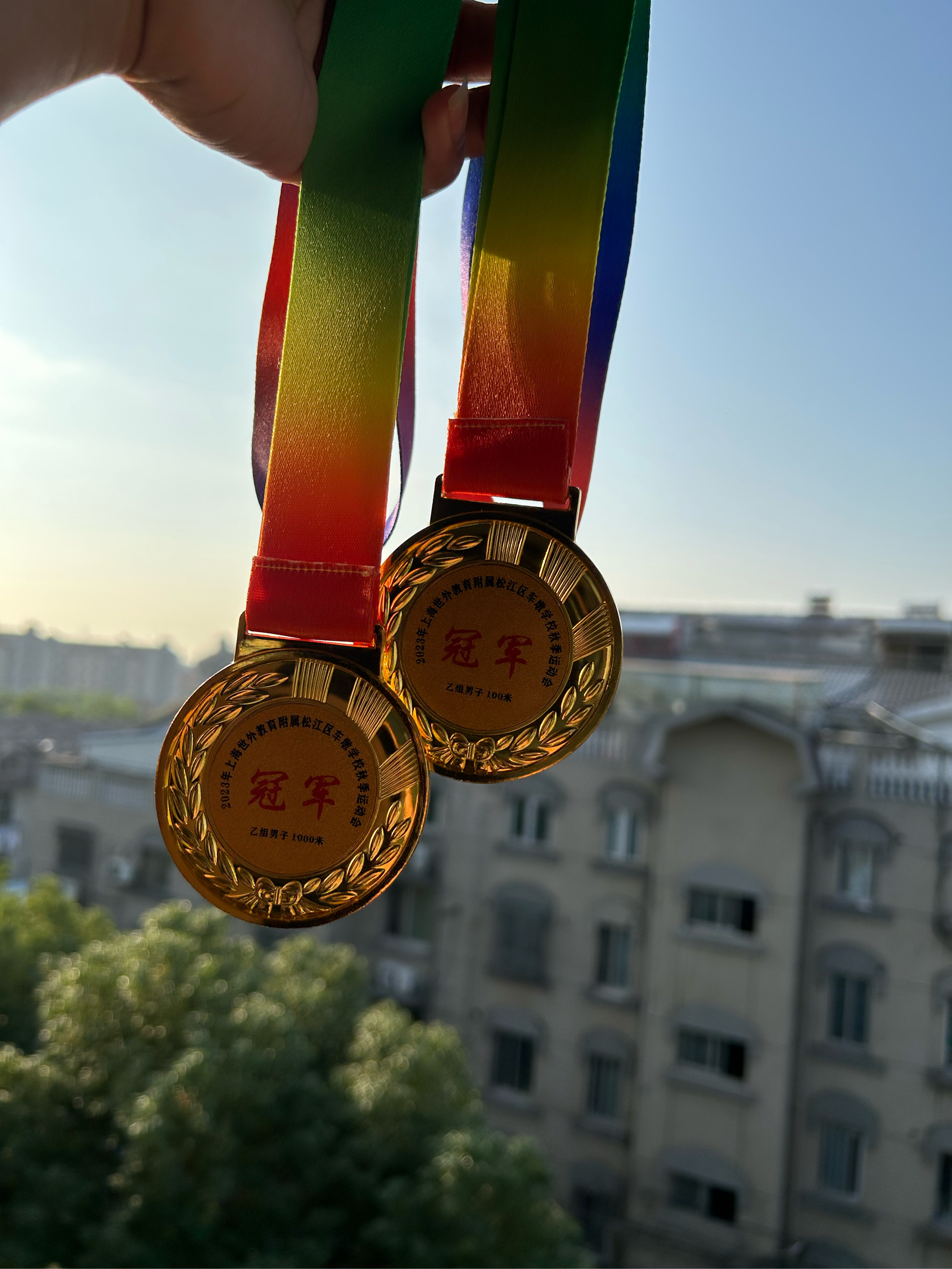 关于抢眼战绩记载，球队勇夺冠军题名的信息